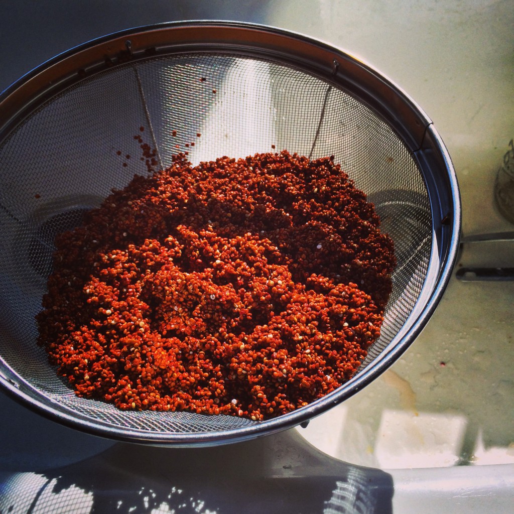 red quinoa ~~ kate in the kitchen 